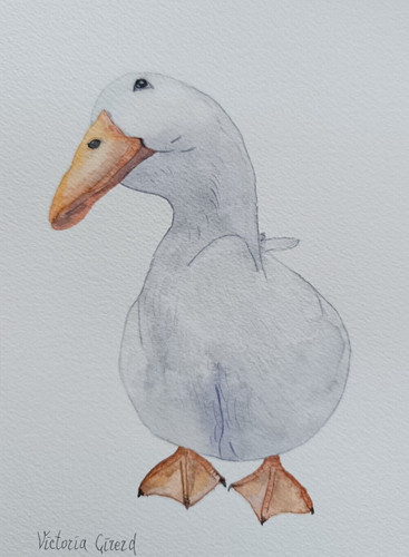 Canard aquarelle a5 - le,