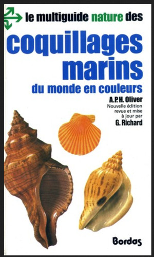 Coquillages marins monde en - du,