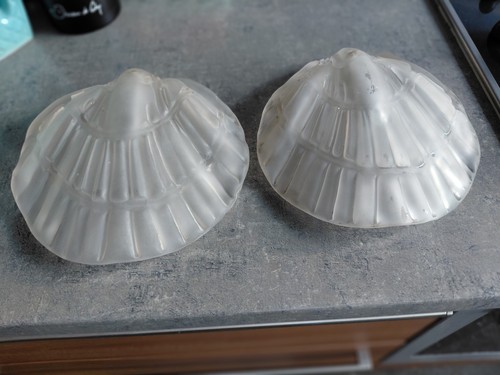 Coquilles lampe lustre - de,