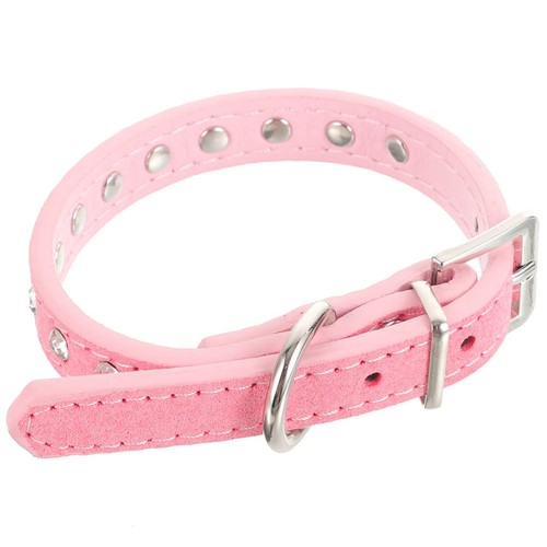 Colier pour chien - pour,