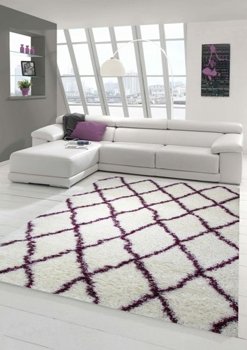 Shaggy salon tapis - salon, à
