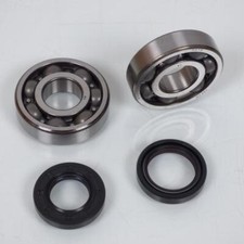 Roulement ou joint spi moteur