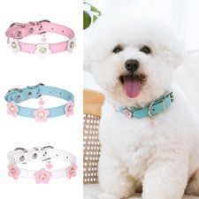 Joli collier fleur fille chien