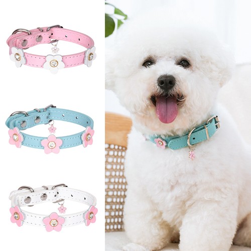 Joli collier fleur fille chien