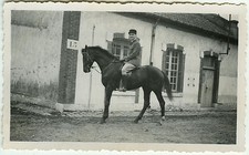 PHOTO ANCIENNE - ANIMAL CHEVAL CAVALIER - HORSE PADDOCK - Vintage Snapshot