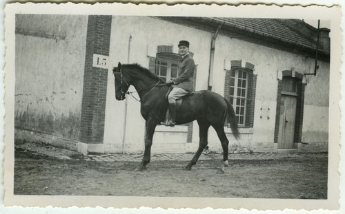 Photo ancienne animal cheval - -,