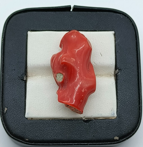 Branche brute corail rouge - corail,