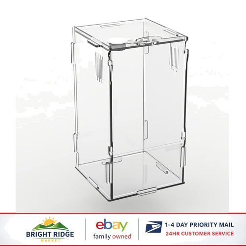 Durable mini terrarium with - mini,