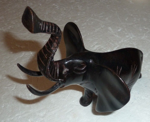 Superbe éléphant africain - africain, en