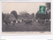 SAINT-GERMER: dans l'herbage