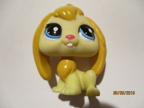 Petshop lapin belier 2466 - lapin,