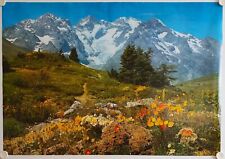 Affiche Tourisme ALPENRUHE Suisse 1981 Photo S. Bormann 68x98 cm