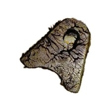 Jeep Willys MB Cabestan Treuil