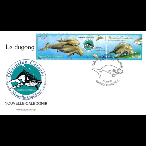Fdc cétacés la vache - -,