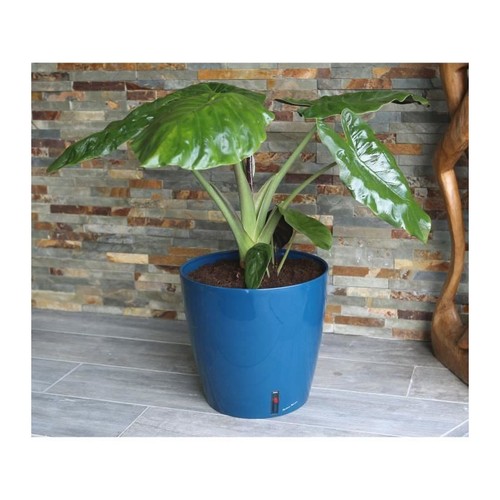 Bac fleurs rond riviera eva - bac,