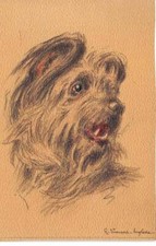 Animaux - n°77598 - Chien - Vincent Anglade - Briard - Carte vendue en l'éta