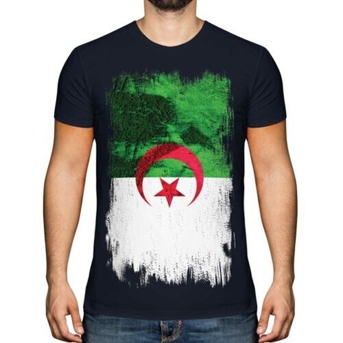Algérie grunge drapeau - drapeau, hommes