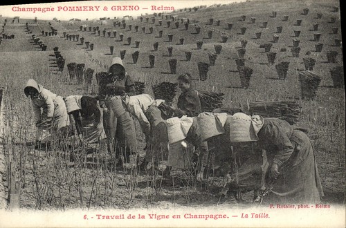 Champagne pommery greno - champagne,