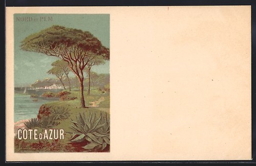 Lithographie artiste côte - d'artiste,
