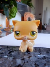 LPS PETSHOP 78 chat européen