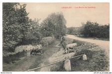 ATYP7-0514-10 - CHESLEY - Les bords du landion