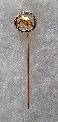 Insigne boutonnière italie - insigne,