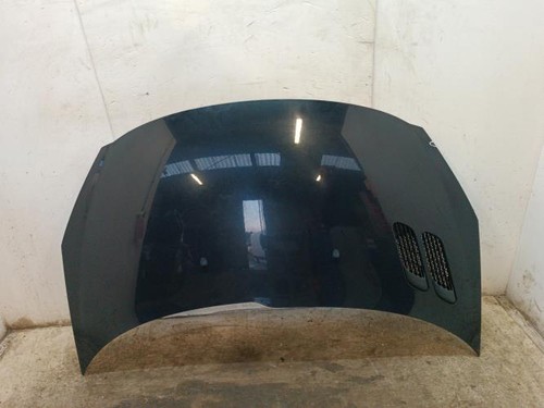 Capot peugeot 206 - 206+, 7901r5