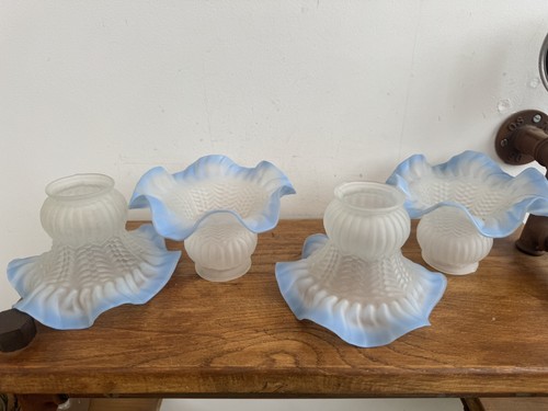 Lot tulipes ancienne - lot,
