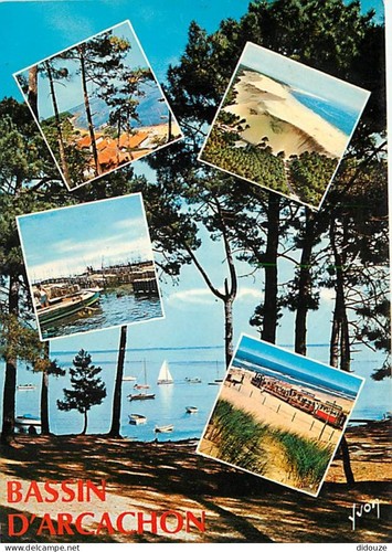 Carte postale bassin - carte, 33