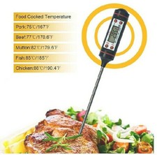 Sonde numérique Thermomètre