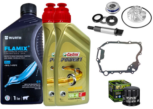Kit révision honda forza - kit,