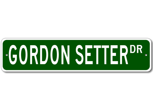 Gordon setter breed - gordon,