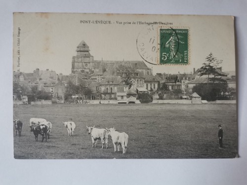 Cpa pont eveque vue - cpa, 14