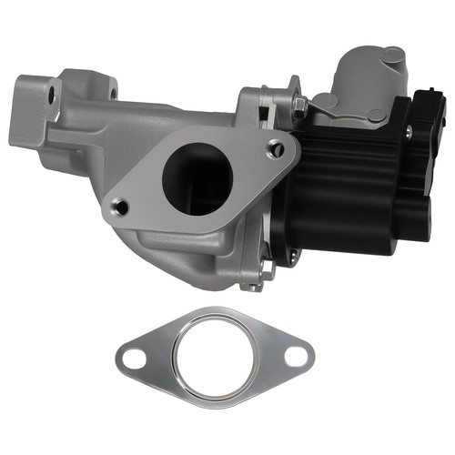 Soupape egr for rodius - soupape,