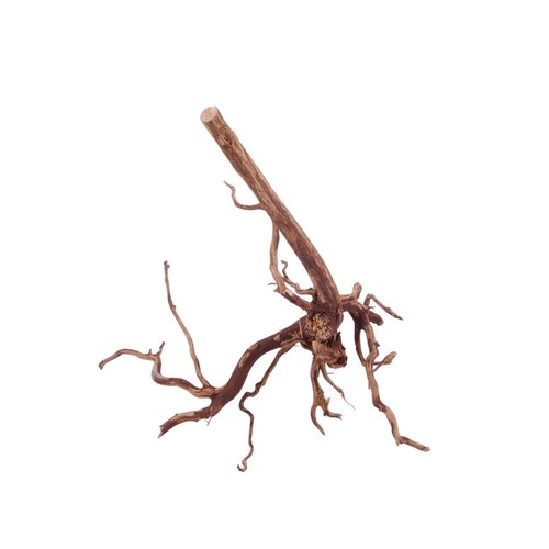 Aquarium racine deko red - racine,