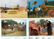 AGRICULTURE LOT de 17 cartes Moisson Matériel Paysans Cidre Elevage etc.