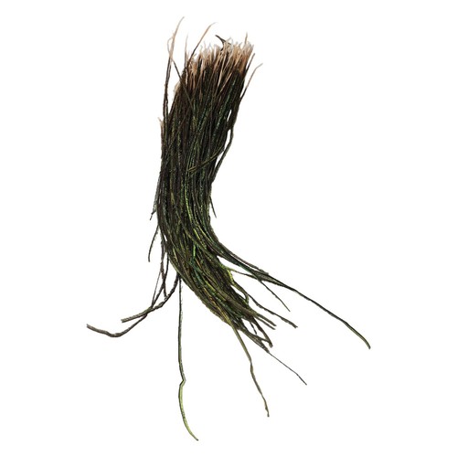 Appât pêche la mouche - de,