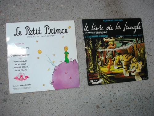 Petit prince le livre - petit,