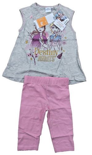 Reine des neiges destiny - neiges,