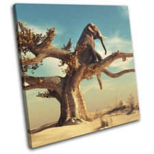 Elephant Tree Desert