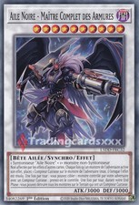 Yu-Gi-Oh! Aile Noire - Maître