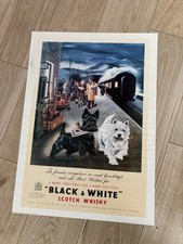 affiche black and white whisky