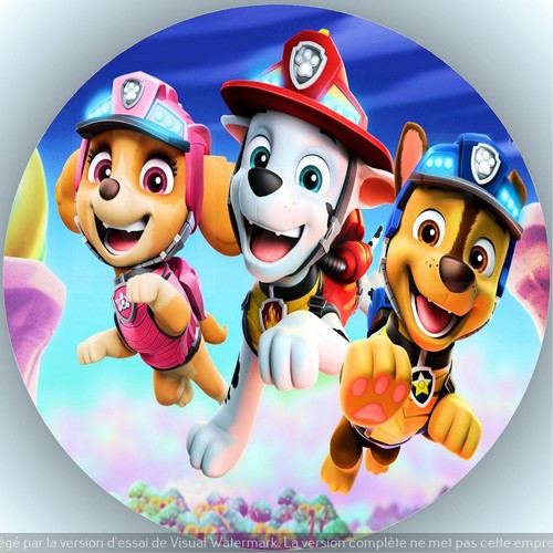 Pat patrouille décoration - .,