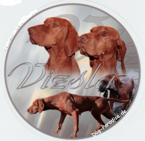 Autocollants design vizsla - autocollants, 1