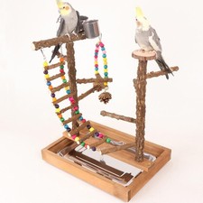 Jouet d'exercice de support de