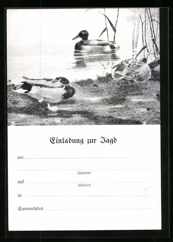 Carte postale artiste - postale, d'artiste