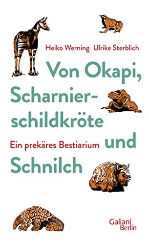 Heiko werning von okapi - werning,