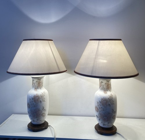 Paire lampes asiatique en - de,