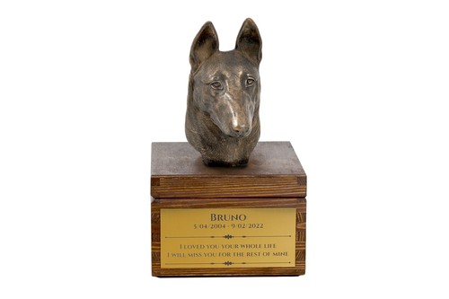 Malinois berger belge - malinois,