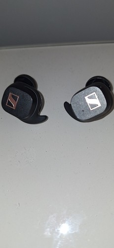 Sennheiser true sport wireless